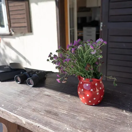 Schwendiblick Holiday home *
